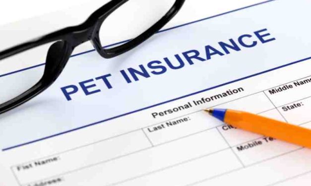 The Downsides of Pet Insurance You Need to Know